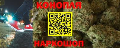 крисы Бузулук