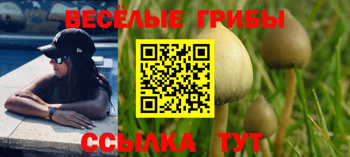 Галлюциногенные грибы мухоморы Чусовой